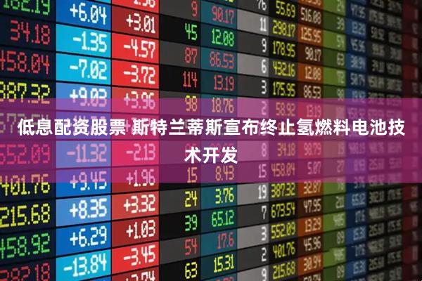 低息配资股票 斯特兰蒂斯宣布终止氢燃料电池技术开发