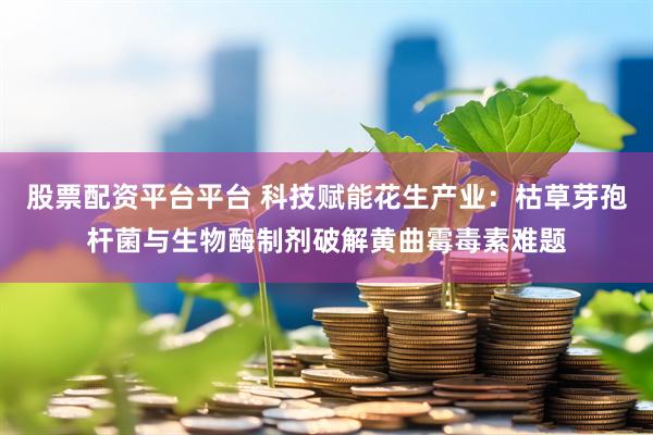 股票配资平台平台 科技赋能花生产业：枯草芽孢杆菌与生物酶制剂破解黄曲霉毒素难题