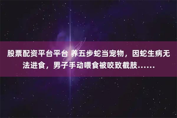 股票配资平台平台 养五步蛇当宠物，因蛇生病无法进食，男子手动喂食被咬致截肢……